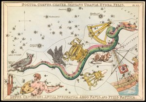 Noctua, Corvus, Cratera, Sextans Uraniae, Hydra, Felis, Lupus, Centaurus, Antilia Pnuematica, Argo Navis e Pysix Nautica, c.1825 (cartão, papel, tecido) de Sydney Hall