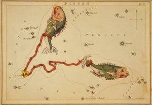 Peixes, ilustração de 