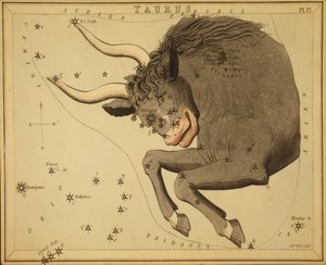Touro, Ilustração de 