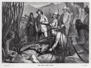 Rei Eduardo VII com o tigre que ele matou (litho)