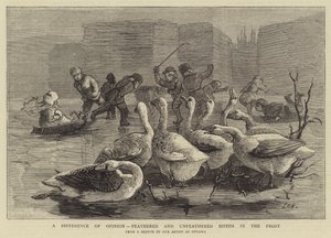 Uma diferença de opinião, bipeds feathered e unfeathered na geada de Sydney Prior Hall