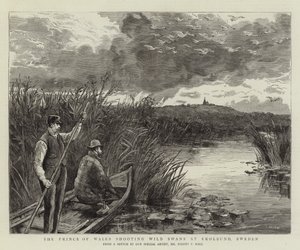 O Príncipe de Gales atirando Cisnes Selvagens em Ekolsund, Suécia de Sydney Prior Hall