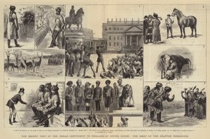 A Visita Recente do Contingente Indiano na Inglaterra, na Casa Stowe, o Encontro dos Foxhounds de Grafton