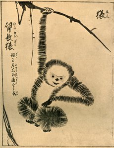 Macaco, 1720, 1924.