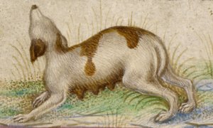 Horas de Gualenghi-d