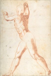 Standing Nude Man reto, três estudos de soldados verso, 1550.