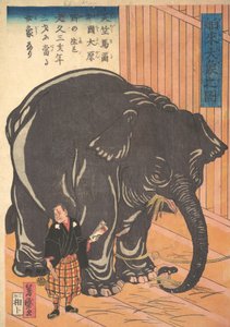 Vista do Grande Elefante Importado, 1863 Bunkyo 3, 4º mês. de Taguchi Yoshimori