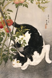 Gato rondando em torno de uma planta de tomate com estacas, 1931 (impressão em xilogravura)