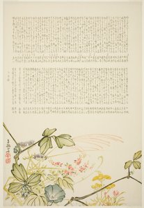 Ervas de outono de Tanaka Nangai