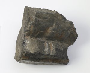 Fragmento de um pedestal de lótus