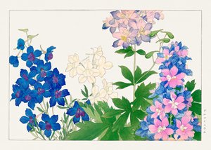 Flor de delfínio de "Seiyou Sokazufu"