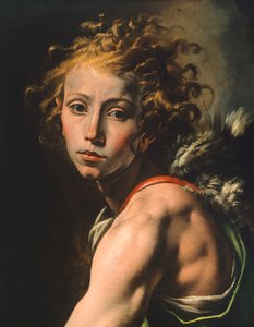 Figura de David, detalhe de David com cabeça de Golias, por Tanzio da Varallo (1575-1635) de Tanzio da Varallo