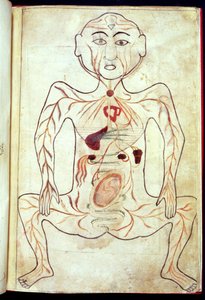 Membros Orgânicos e o Embrião no Corpo Humano, meados do século XV de Tashri Al Badan
