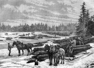 Madeireiros canadenses, século XIX.