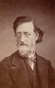 Retrato de John Peter Lesley 1819-1903, dezembro de 1875. de Taylor and Brown