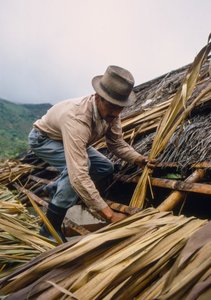Um agricultor colombiano cobre o seu telhado com folhas de cana-de-açúcar. - perto de Pamira, Colômbia SA de Ted Spiegel