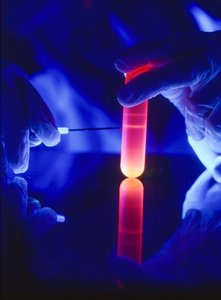 Extração de nucleótidos de ARN de um tubo de centrifugação de plástico. de Ted Spiegel