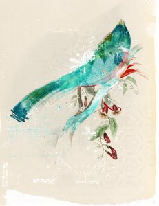 Silhueta das aves, 2017 (Colagem sobre tela)