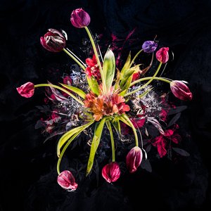 Bouquet XVIII, 2017 (mídia mista sobre tela) de Teis Albers