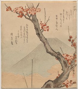 Ameixeira com Monte Fuji