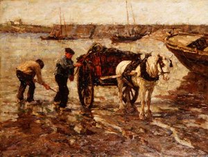 Recolhendo algas marinhas de Terrick Williams