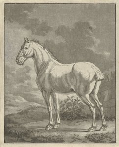 Molde em um prado de Tethart Philip Christian Haag