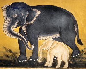 Elefante e bezerro, página de um manuscrito sobre treinamento de elefante (wc no papel)