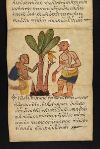 Ou. 16482, f.21 