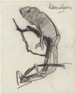 Camaleão de Theo Nieuwenhuis