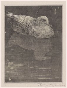pato flutuante de Theo van Hoytema (signed by artist)