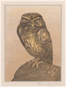 Pequena coruja na rocha de Theo van Hoytema (signed by artist)