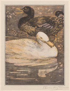 Dois patos de Theo van Hoytema (signed by artist)