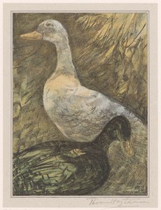 Dois patos de pé de Theo van Hoytema (signed by artist)