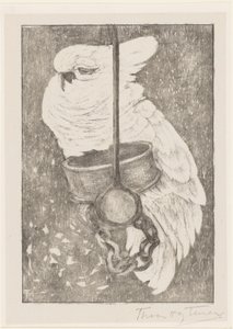 cacatua branca de Theo van Hoytema (signed by artist)