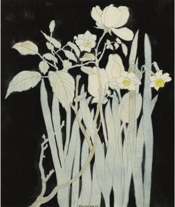 Narcisos Amarelos E Rosas.