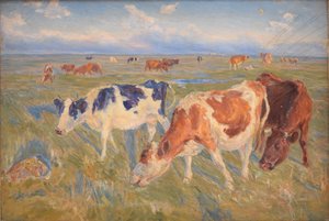 Vacas pastando na ilha de Saltholm