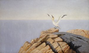 Linguado do mar de Theodor Kittelsen