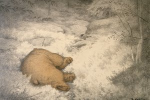 O urso dorme na urze de mirtilo de Theodor Severin Kittelsen