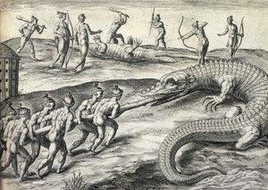 Nativos americanos nus caçando crocodilos na Florida, EUA
