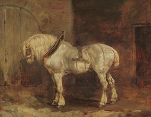 Um carro-cavalo