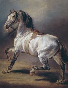 Um estudo de um cavalo