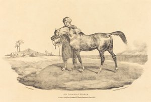 Um cavalo árabe de Theodore Gericault
