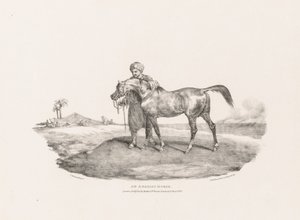 Um cavalo árabe de Theodore Gericault