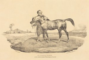Um cavalo árabe de Theodore Gericault