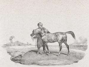 Um cavalo árabe, 1821 de Theodore Gericault