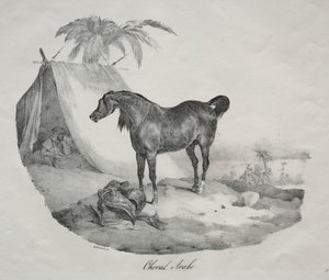 Cavalo Árabe de Theodore Gericault