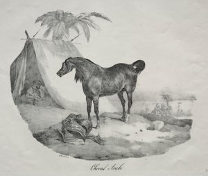 Cavalo árabe de Theodore Gericault