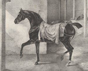 Cavalo preto amarrado em um estábulo, 1822. de Theodore Gericault