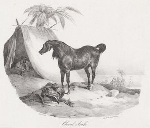 Cavalo Árabe (An Arabian Horse) de Theodore Gericault