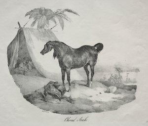 Cavalo árabe de Theodore Gericault